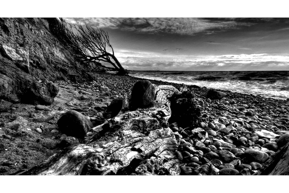 Landscape2012_001