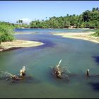 landscapes of cuba #4