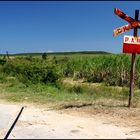 landscapes of cuba #6