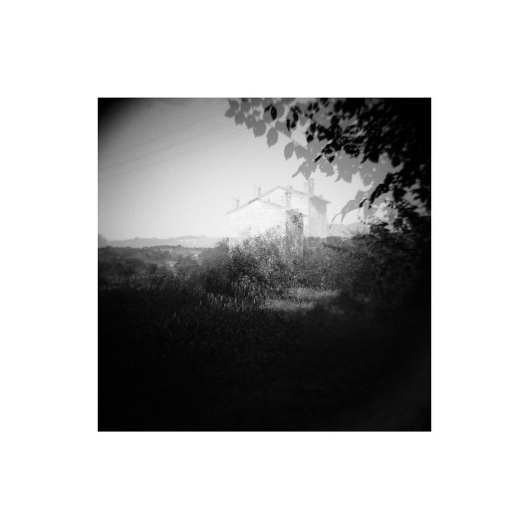 LANDSCAPES OF HOLGA (tobacco road)