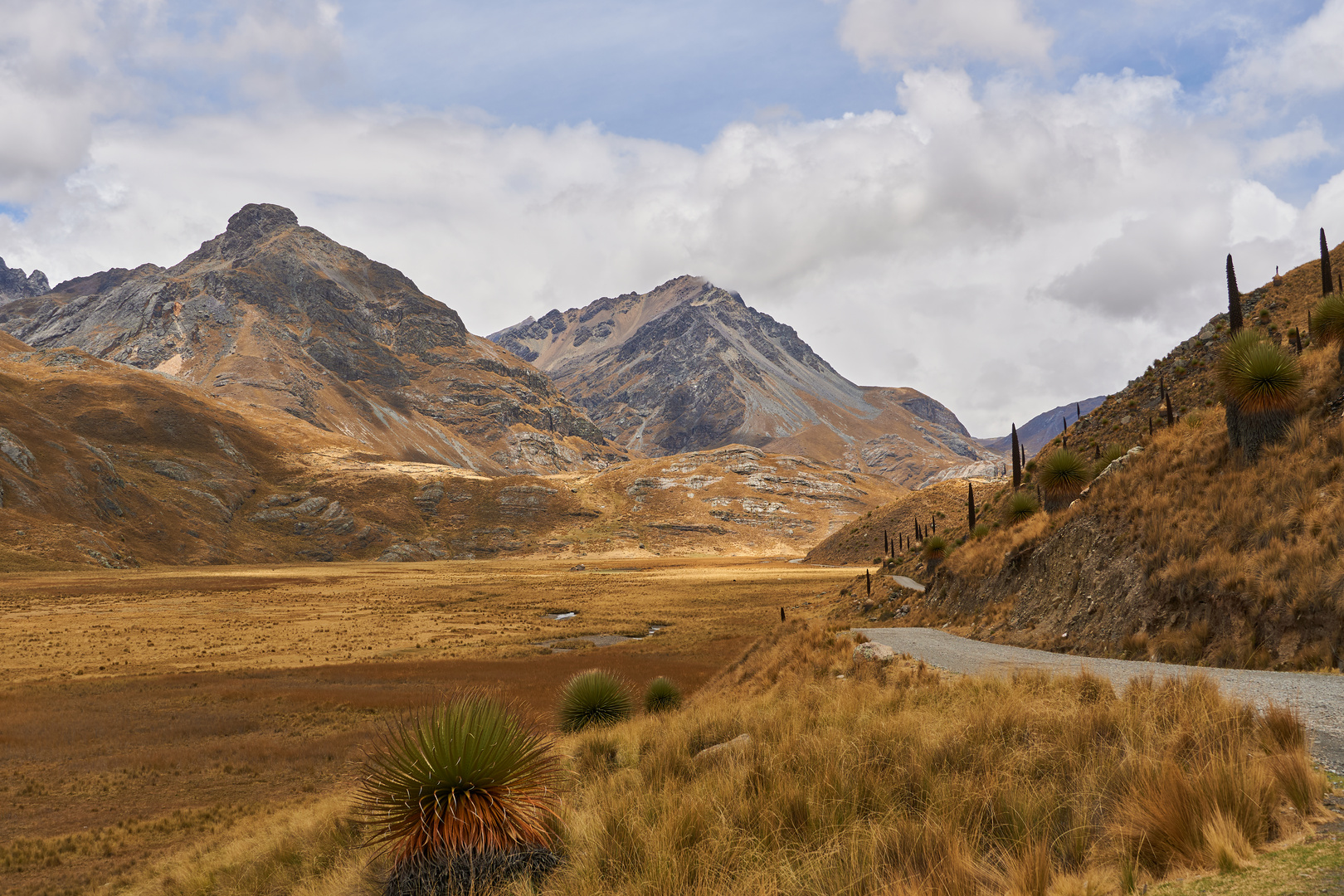 Landscapes on the way to Gletcher in Huascaran Nationalpark