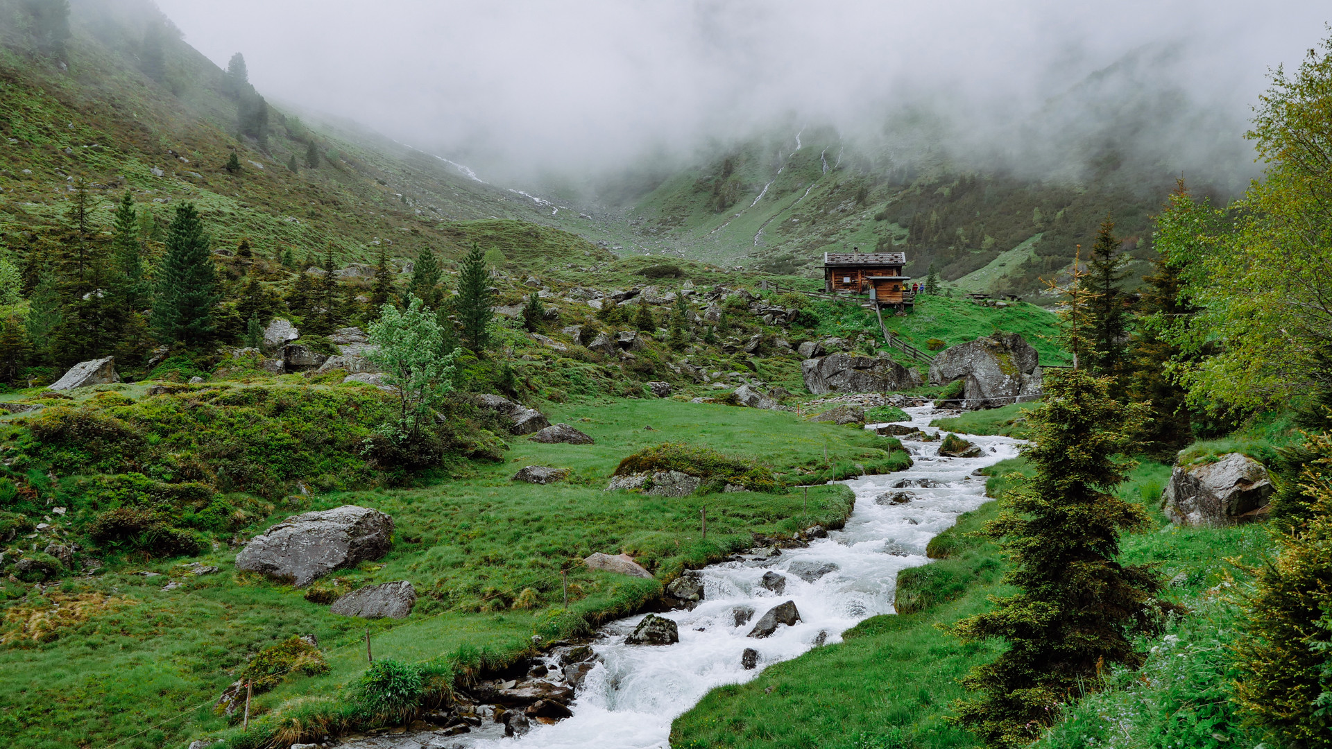 Landschafi im oberen Stubaital 2016