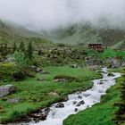 Landschafi im oberen Stubaital 2016