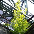 Landschafspark Nortd (5)