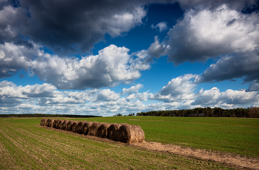 Landschaft