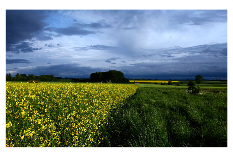 Landschaft