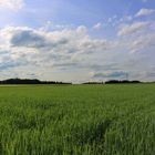 Landschaft-01