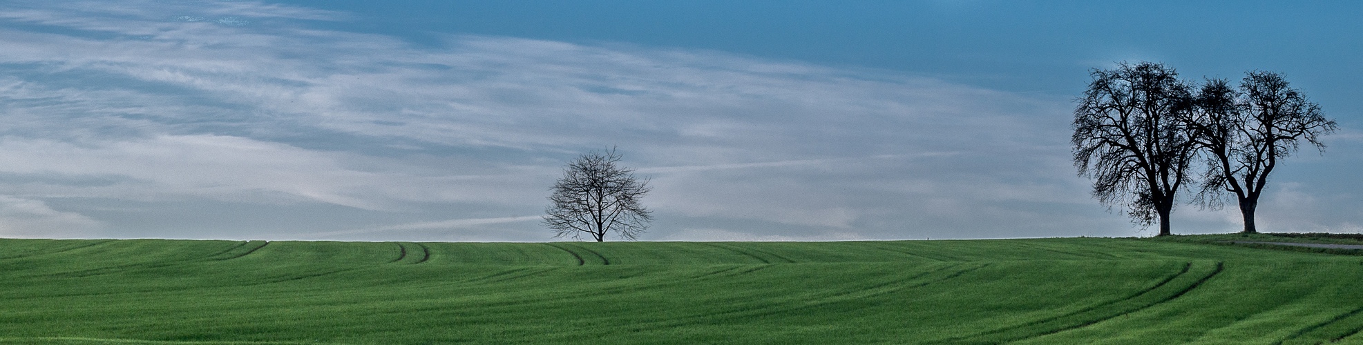 Landschaft