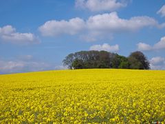 Landschaft