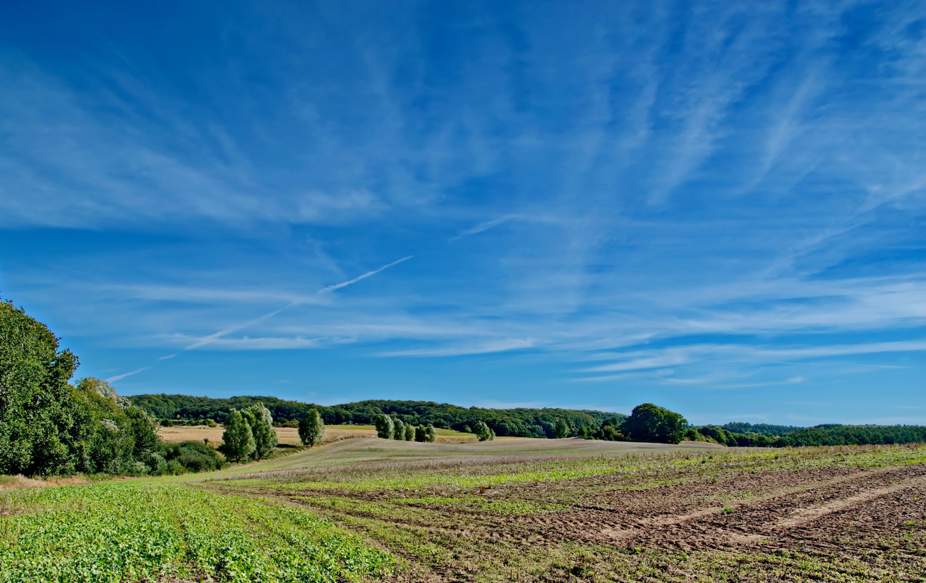 Landschaft