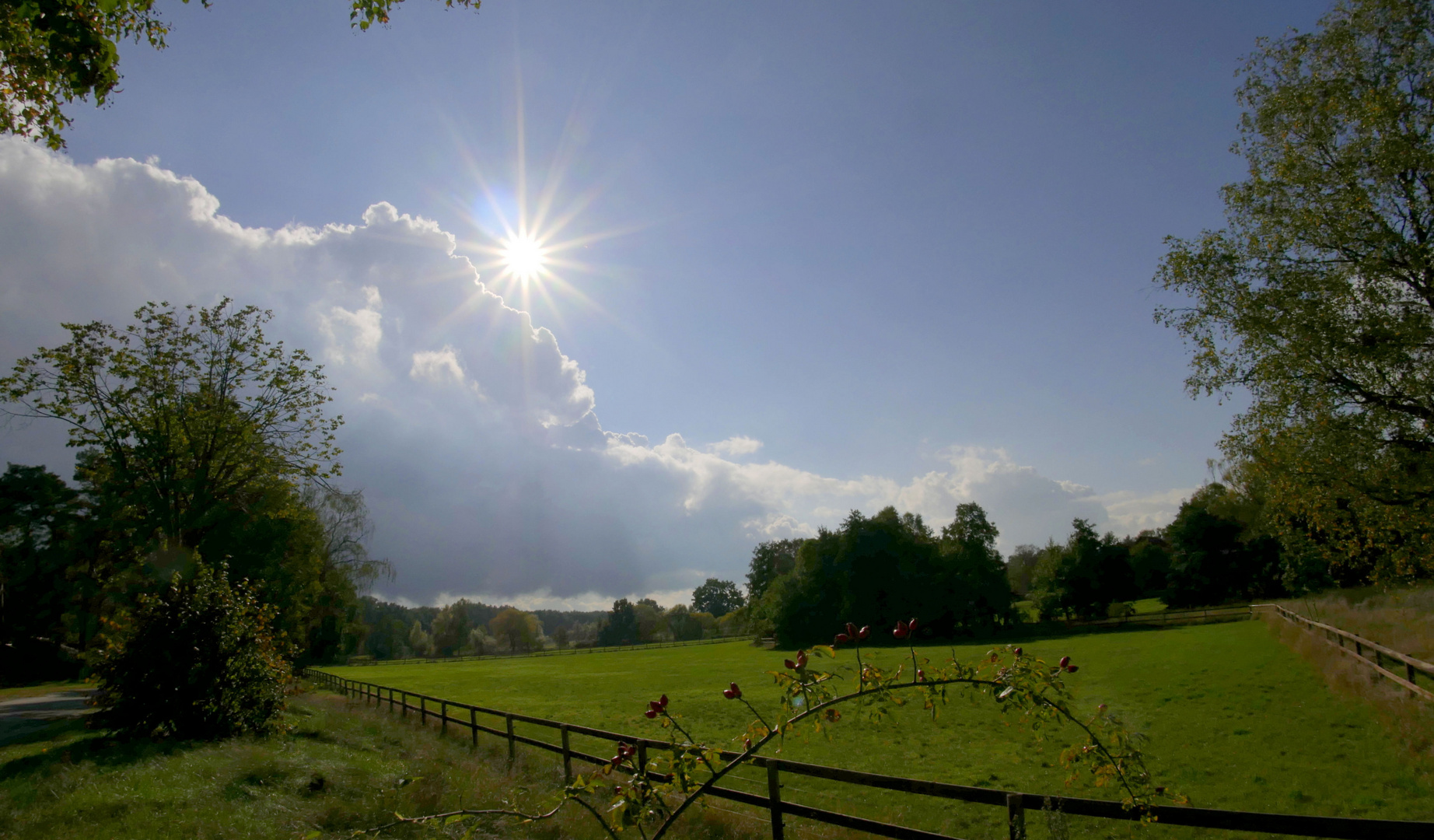 Landschaft