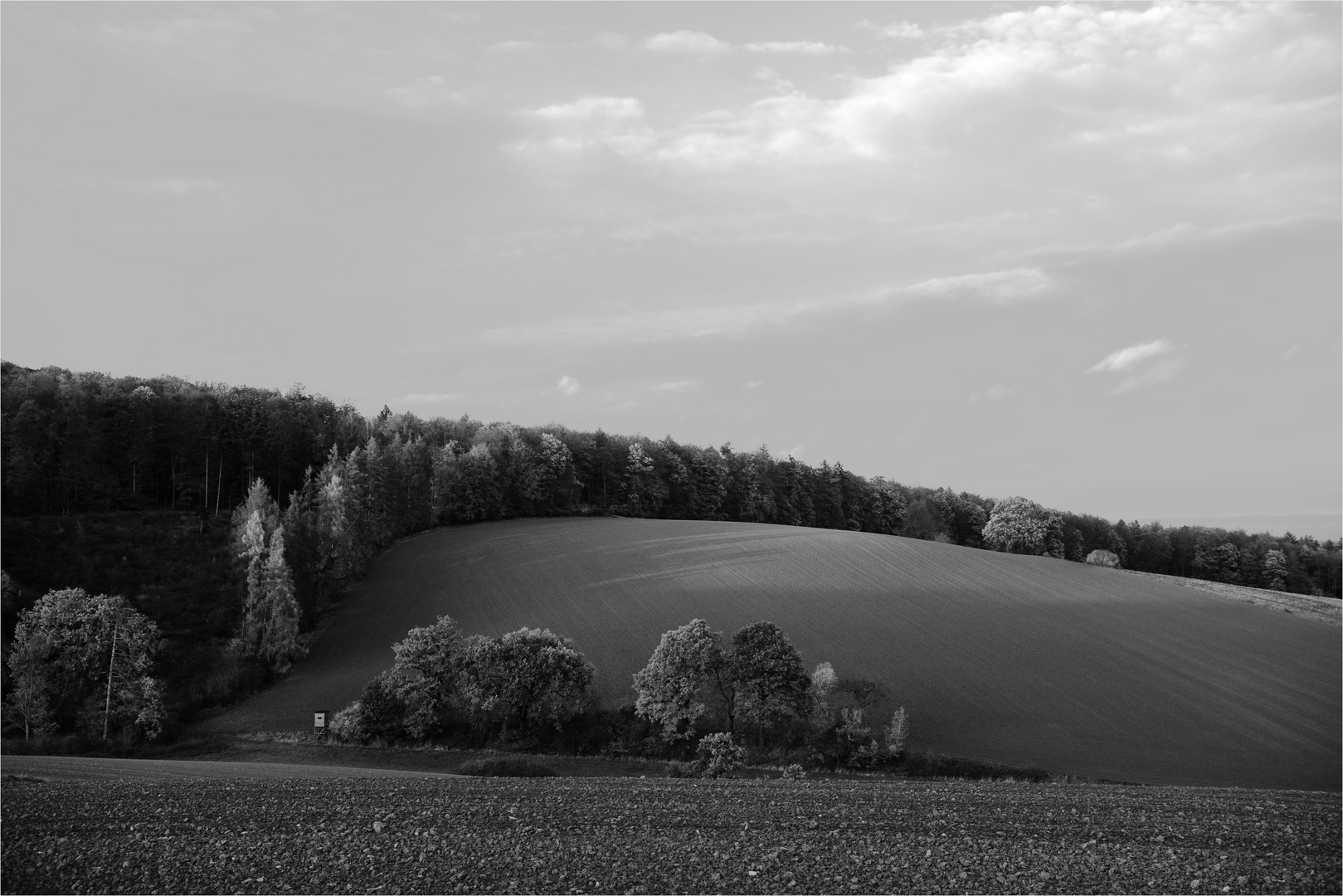 Landschaft