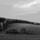 Landschaft