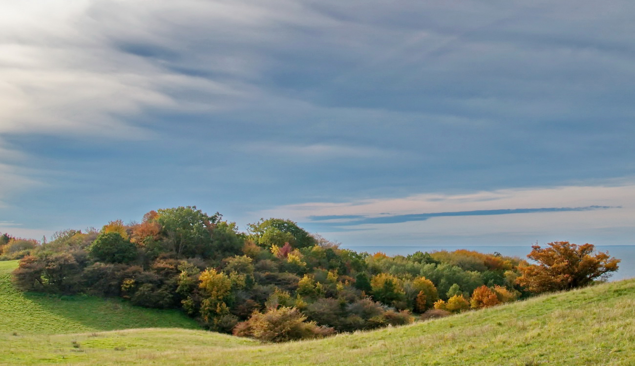 Landschaft