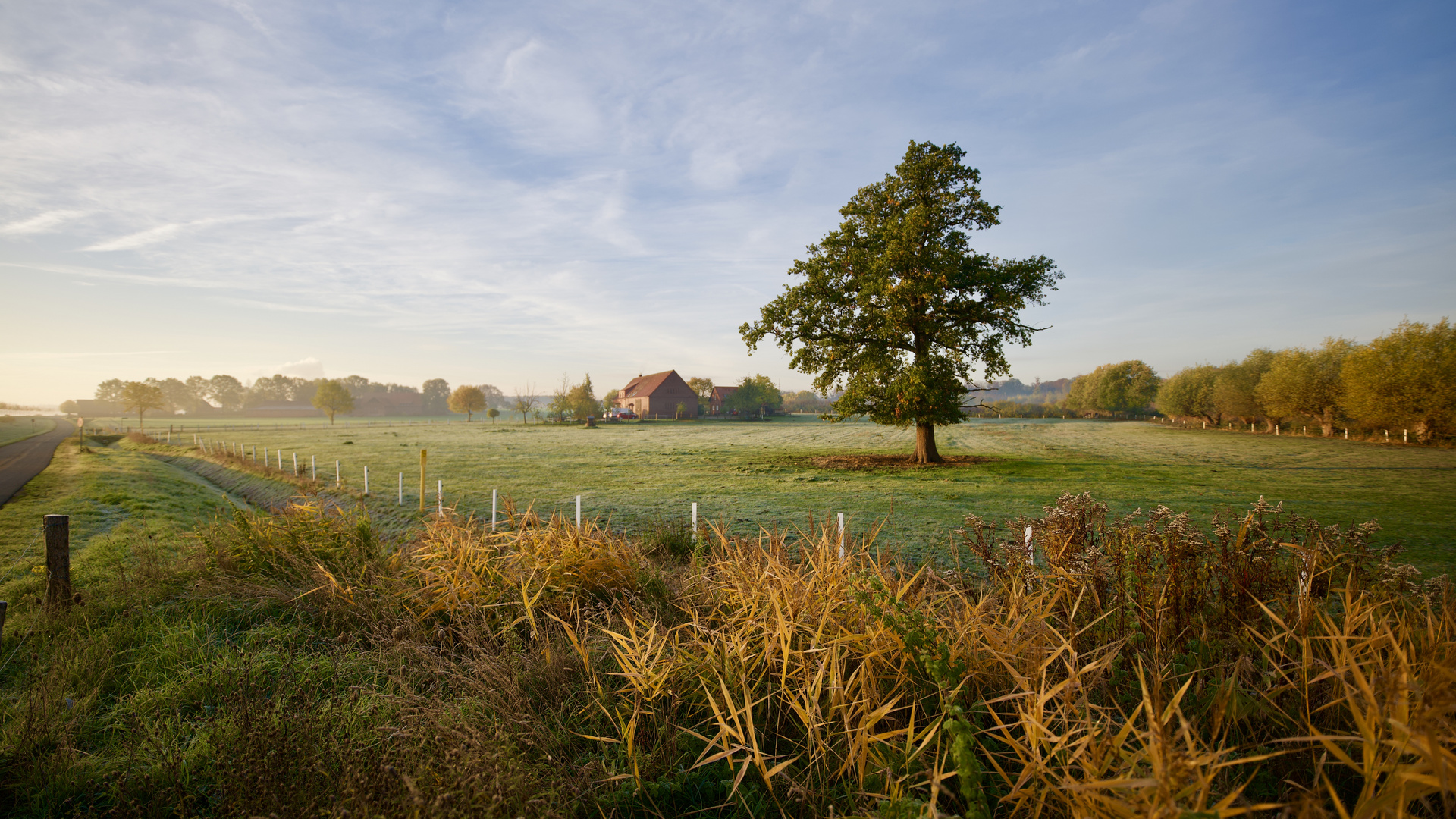 Landschaft  1