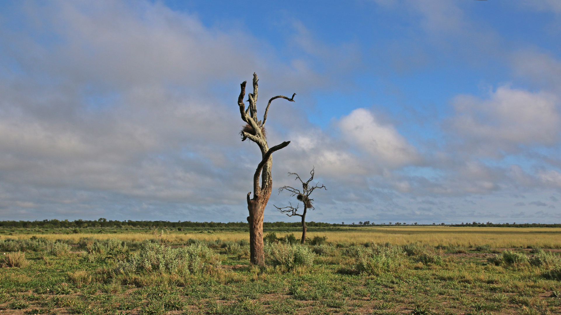 Landschaft (1)