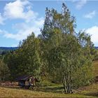 Landschaft (1) bei Hildweinsreuth i.d. Oberpfalz