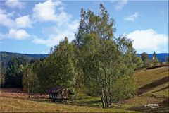 Landschaft (1) bei Hildweinsreuth i.d. Oberpfalz