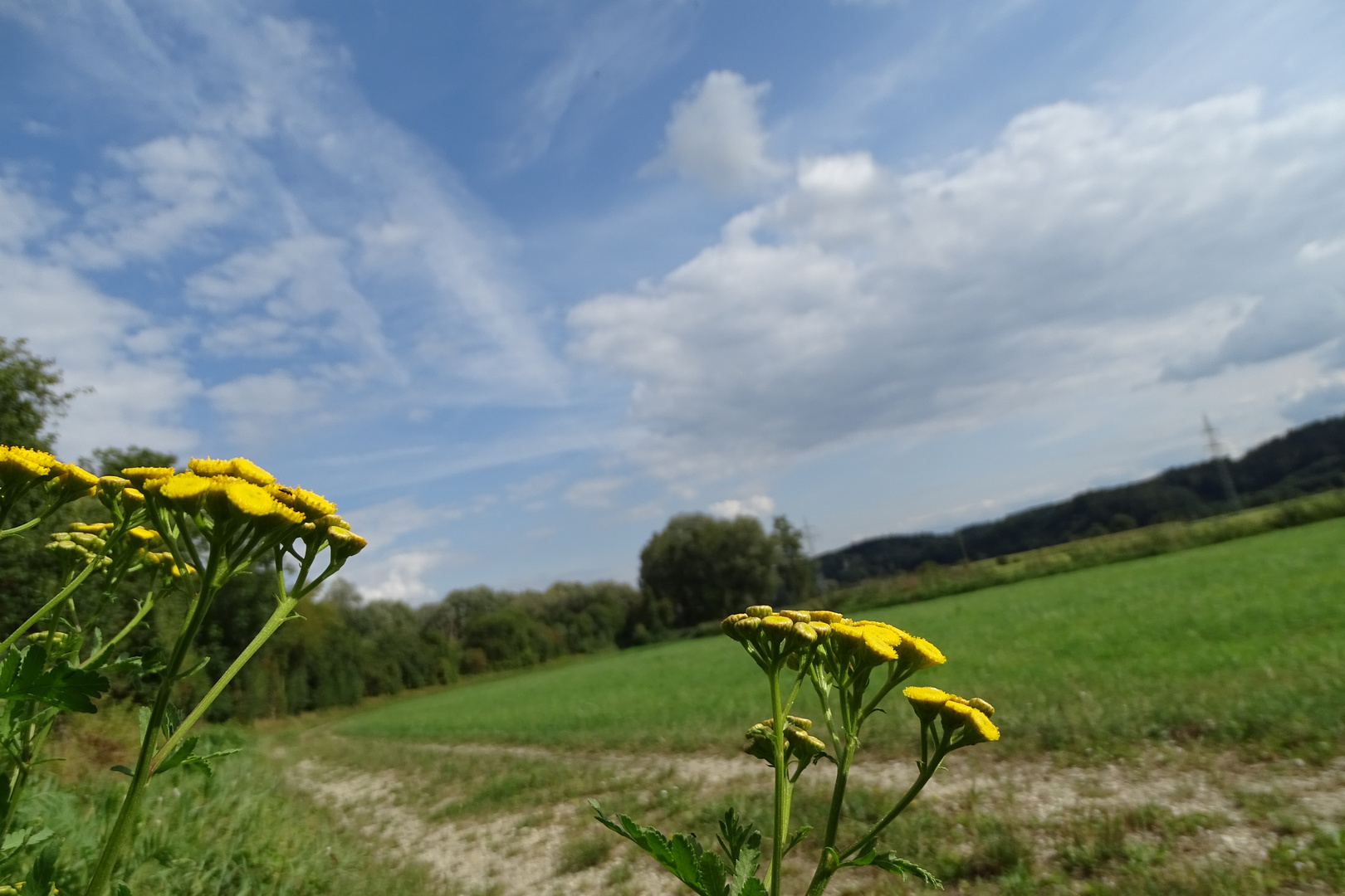 Landschaft