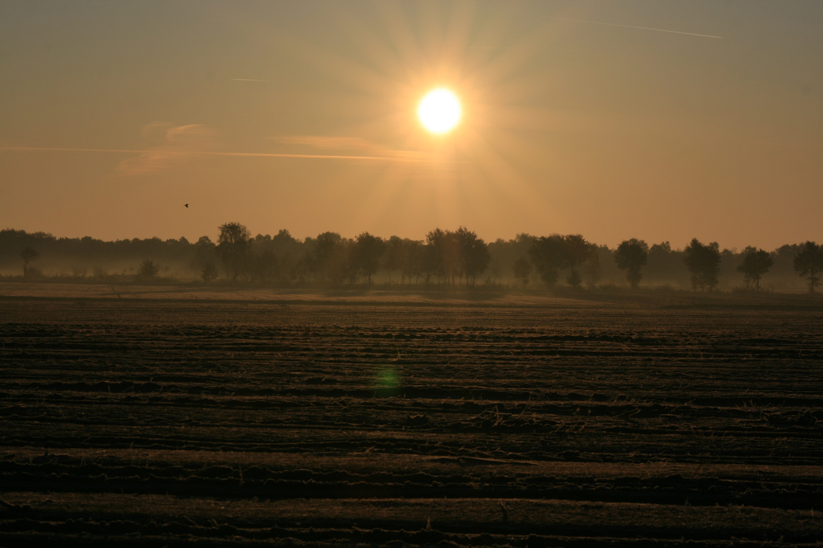 Landschaft