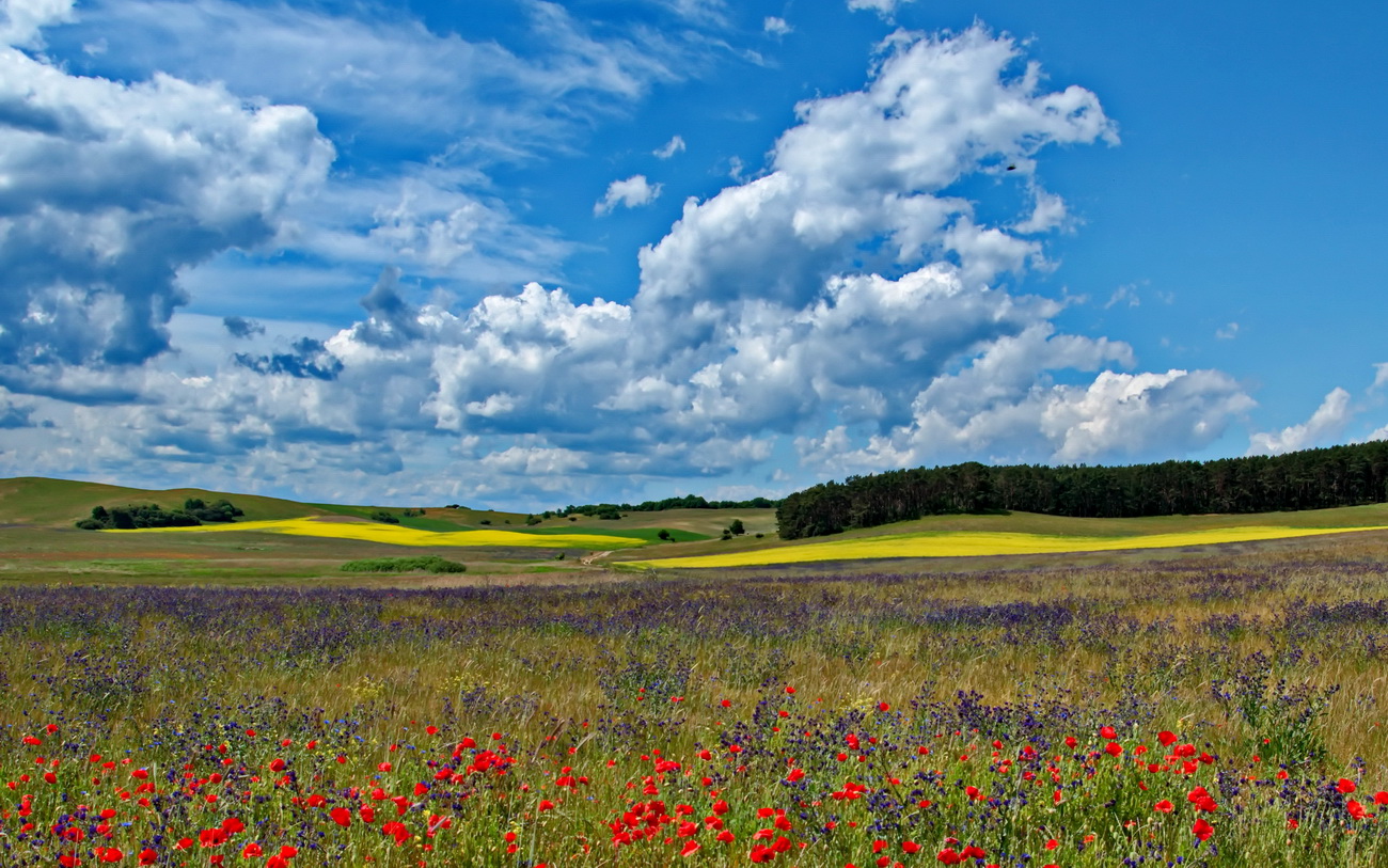 Landschaft