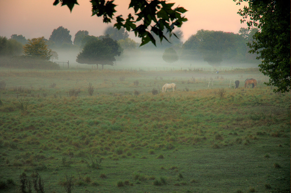 Landschaft