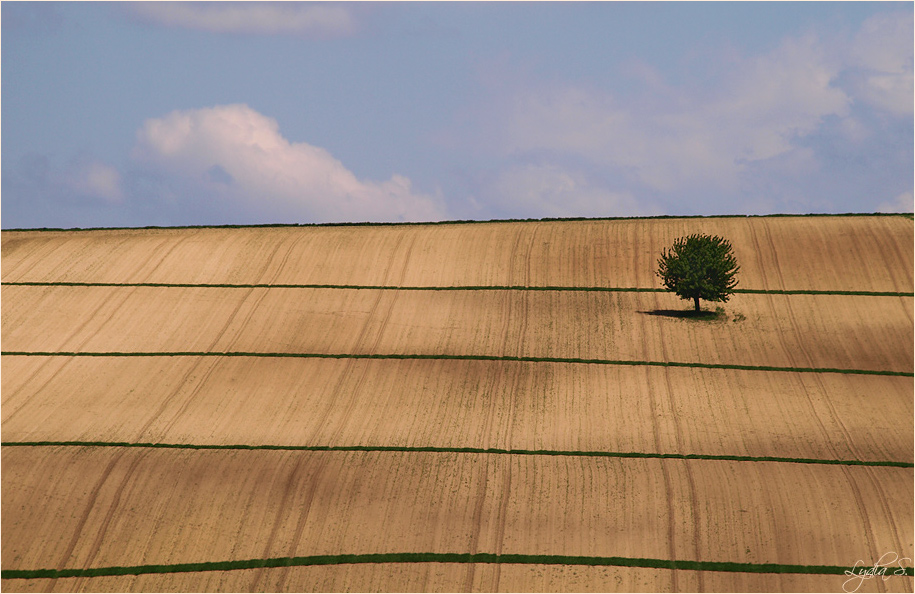 ...Landschaft...