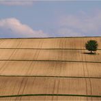 ...Landschaft...