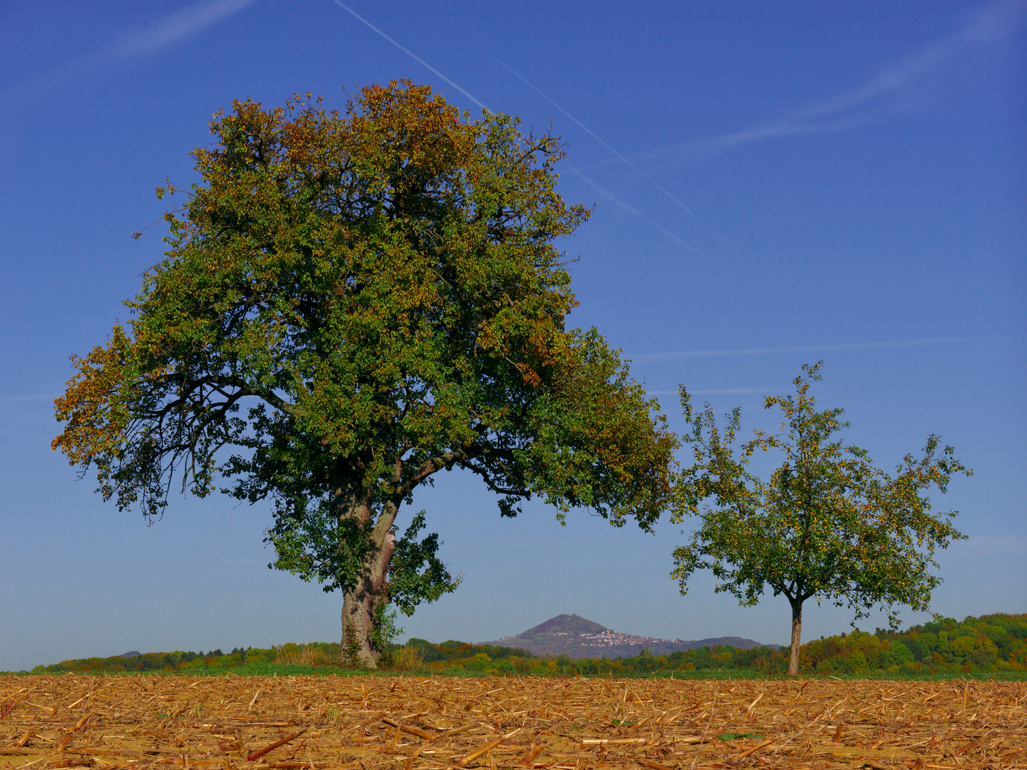 Landschaft (2) 3:4