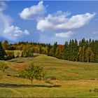 Landschaft (2) bei Hildweinsreuth i.d. Oberpfalz