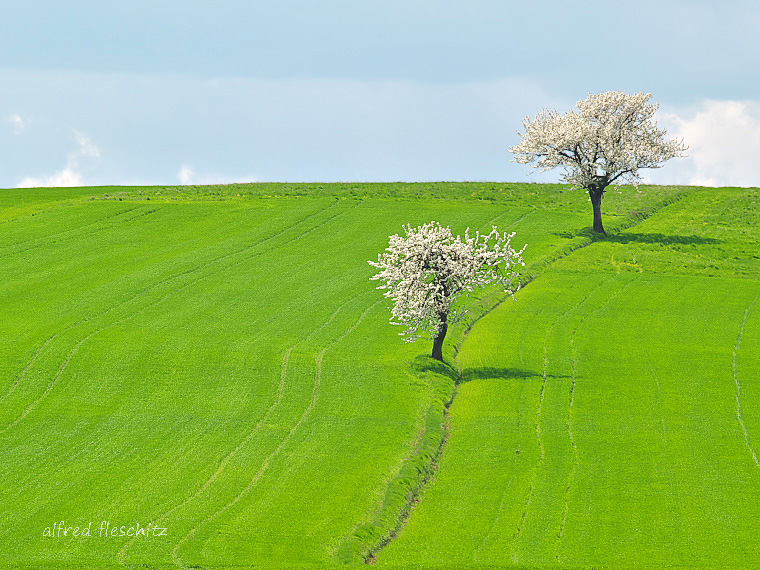 Landschaft 2005 001