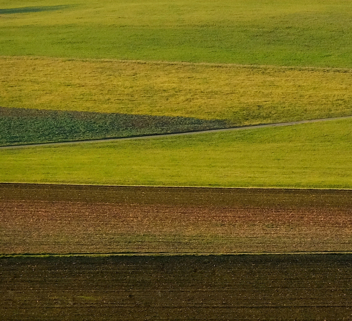 Landschaft 