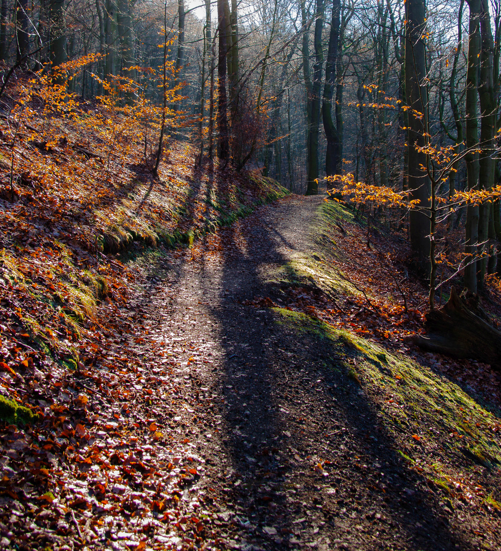 Landschaft