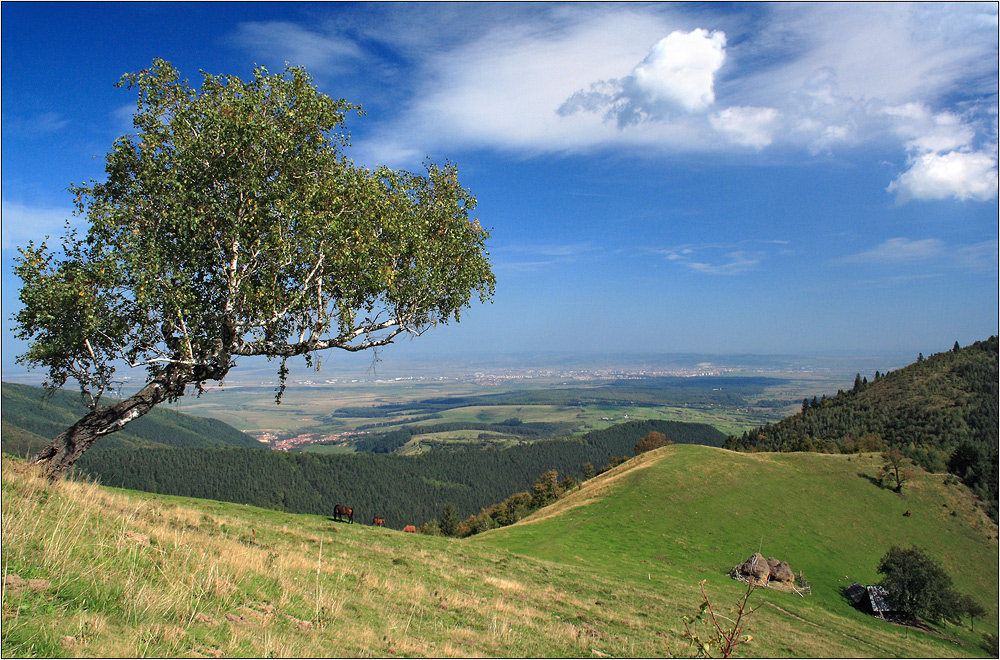 Landschaft...