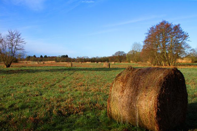 Landschaft