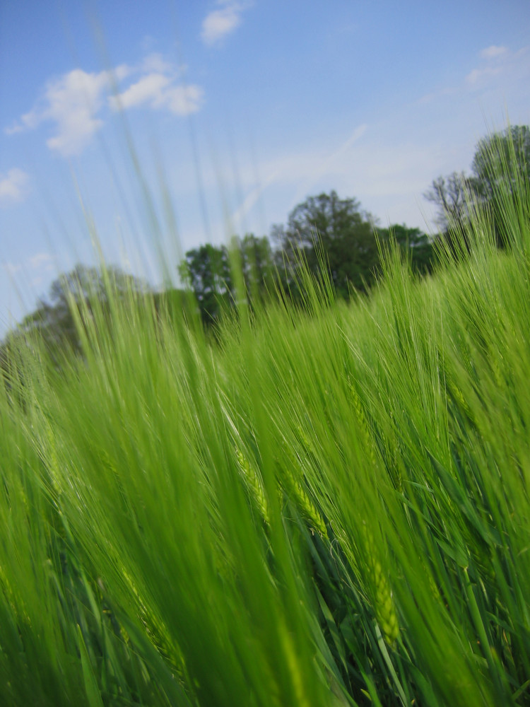 Landschaft