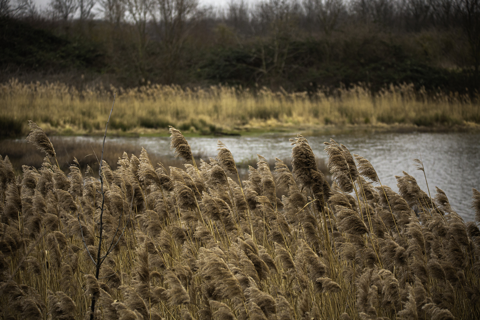 Landschaft