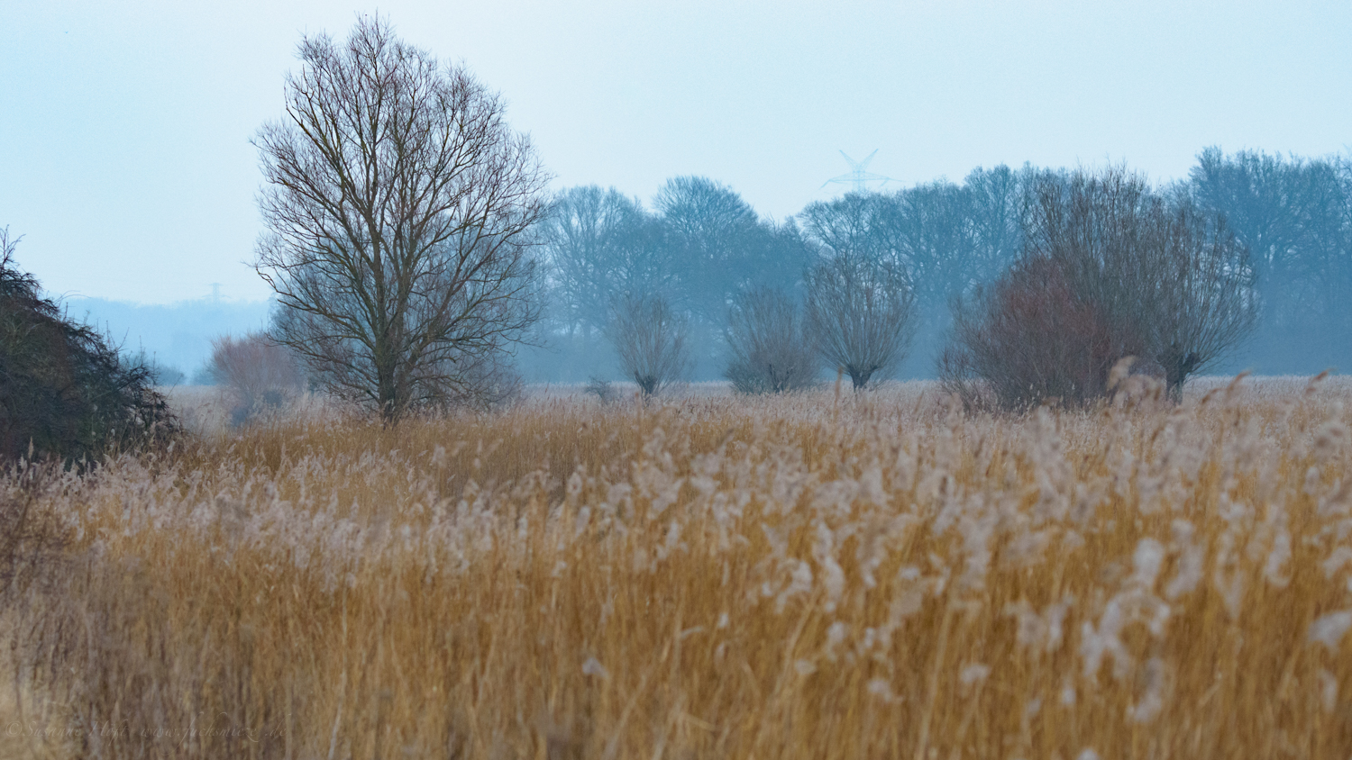 Landschaft