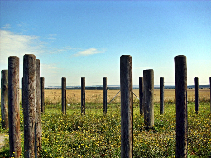 Landschaft.