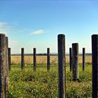 Landschaft.