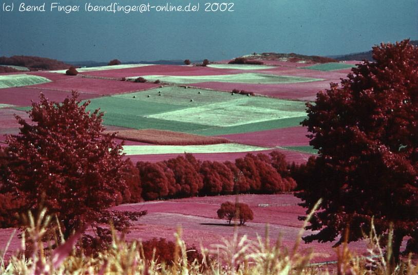 Landschaft Foto & Bild | infrarot, techniken, aufnahme-techniken Bilder