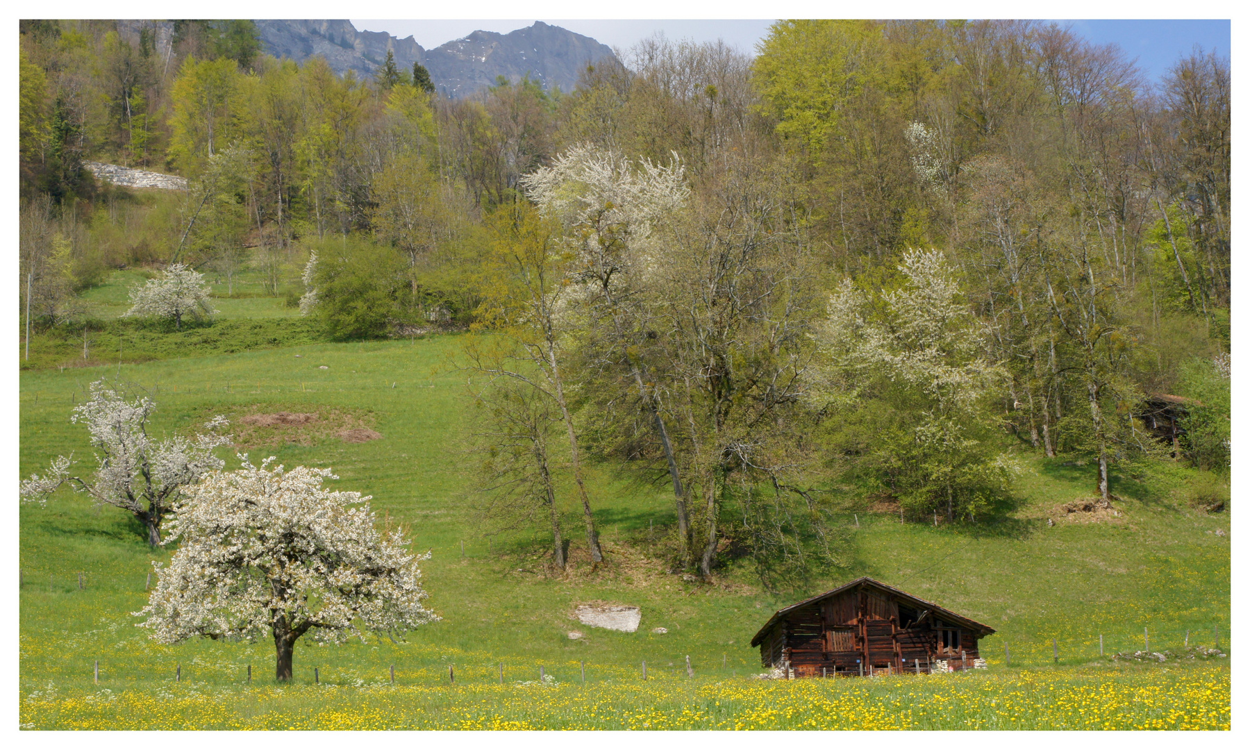 Landschaft