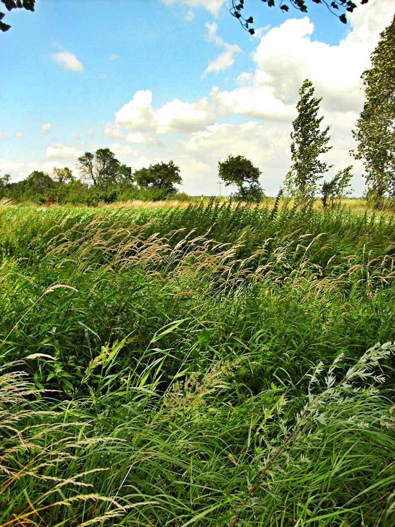 Landschaft