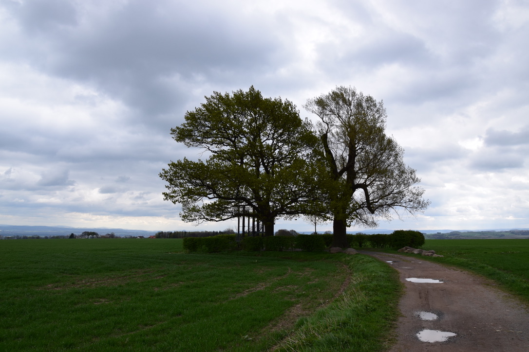 landschaft