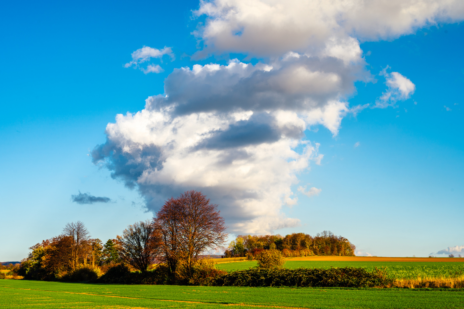 Landschaft