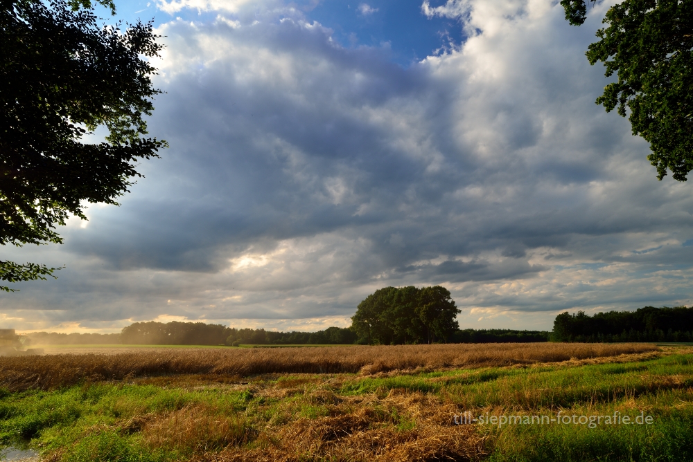 Landschaft