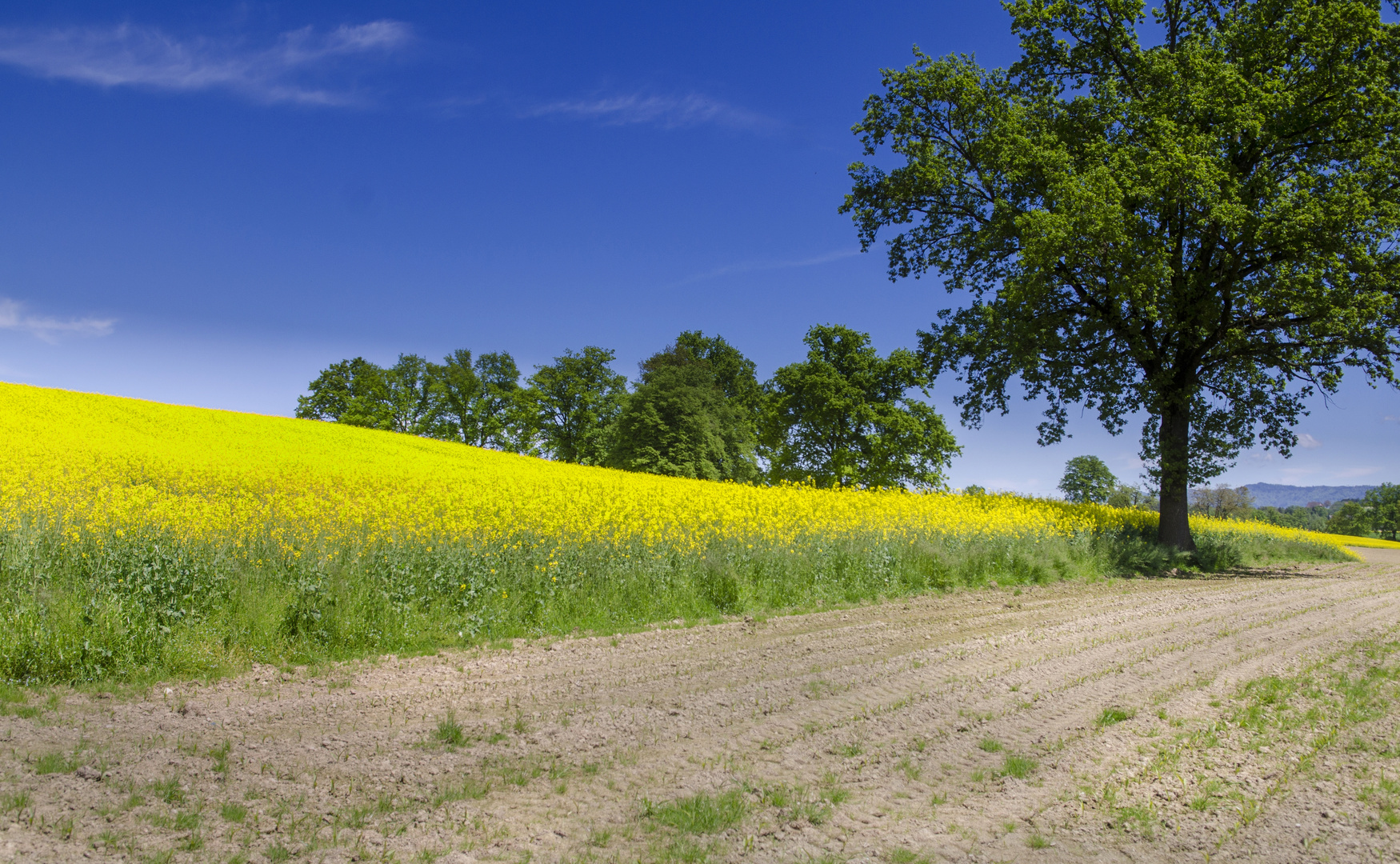 landschaft