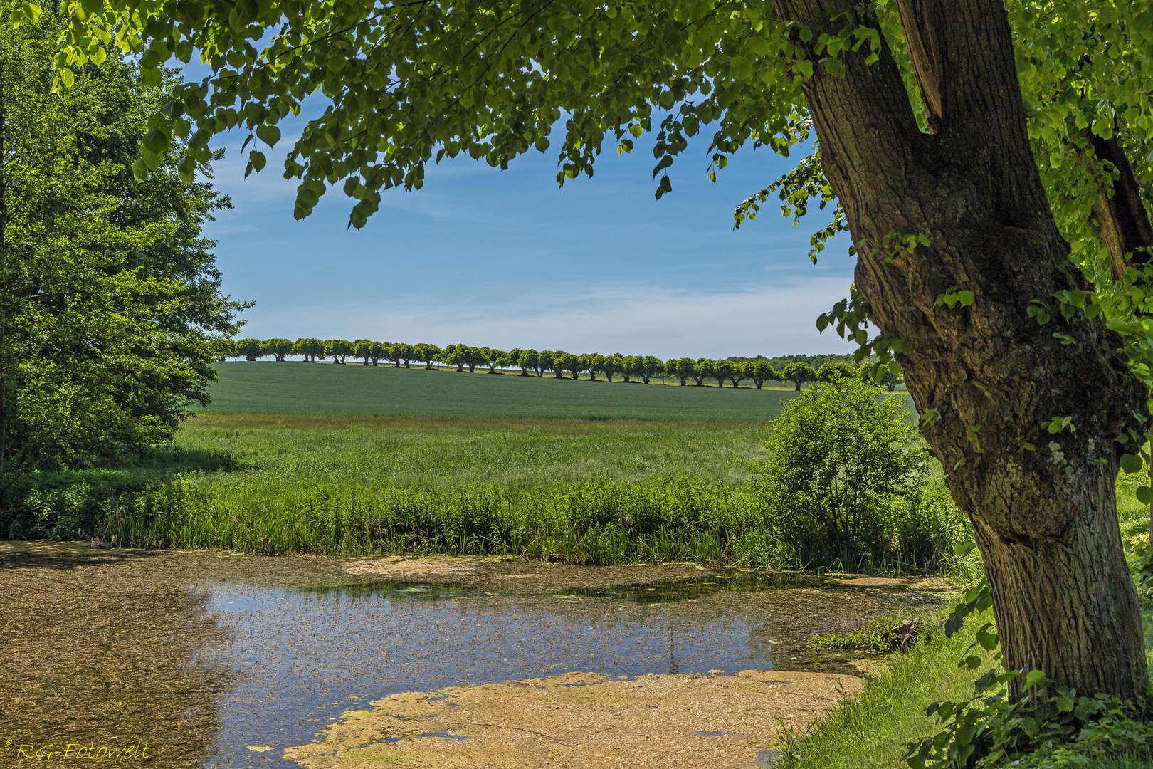 Landschaft