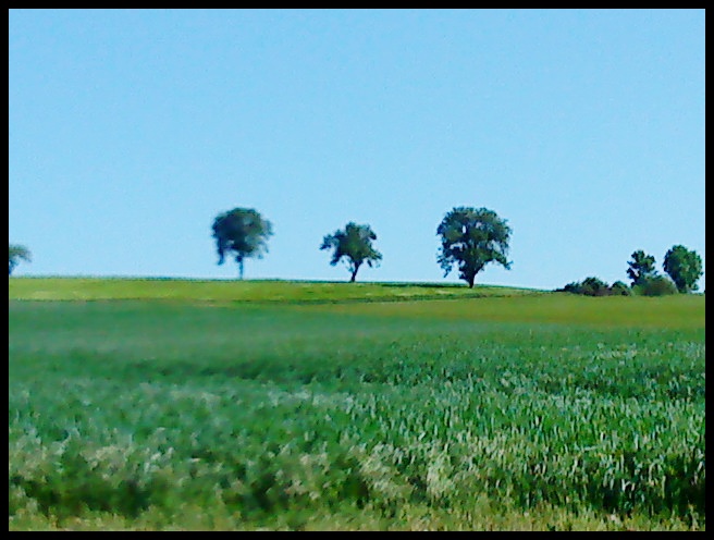 Landschaft.