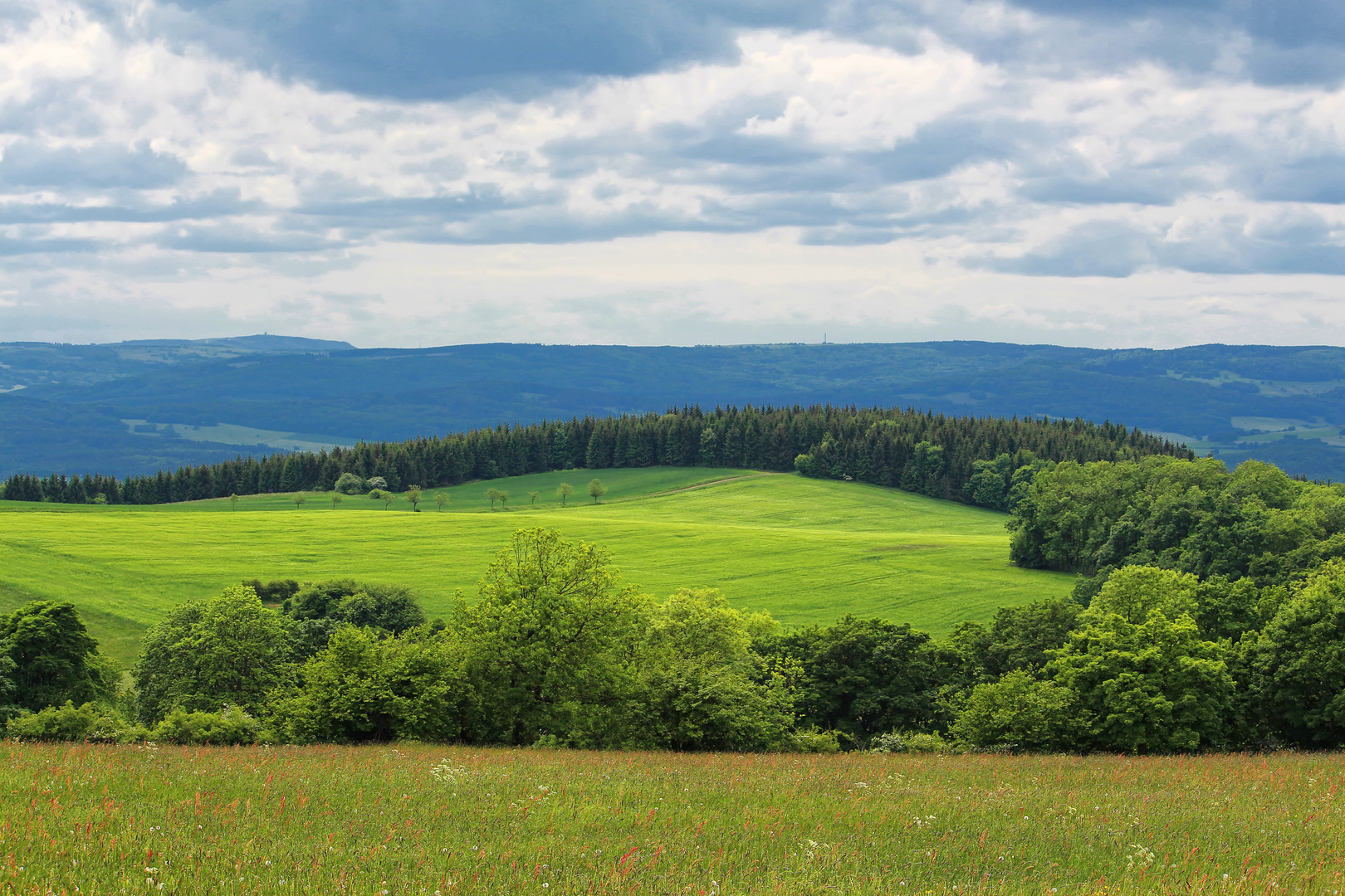 Landschaft